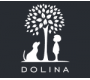 Dolina